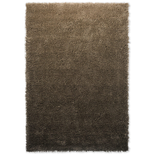 Brink en Campman Shade high 011901