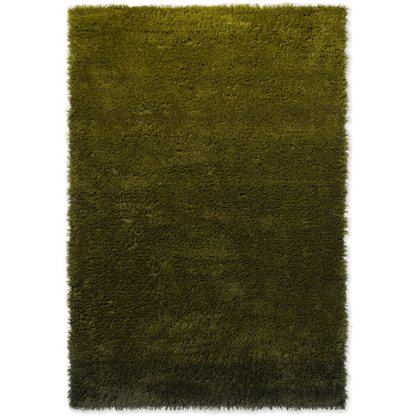 Brink en Campman Shade high 011907